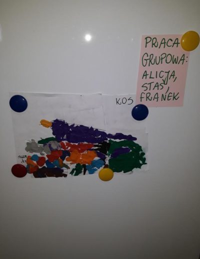 Rozpoznawanie ptaków oraz dźwięków jakie wydają 3