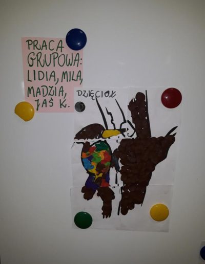 Rozpoznawanie ptaków oraz dźwięków jakie wydają 4