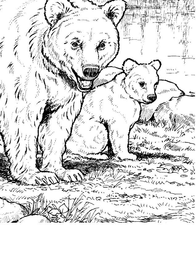 Kolorowanki XXL: Misie Dzień Niedźwiedzia Polarnego Dzień Pluszowego Misia Kolorowanki Kolorowanki (Dzień misia) Kolorowanki XXL Zwierzęta (Kolorowanki) 