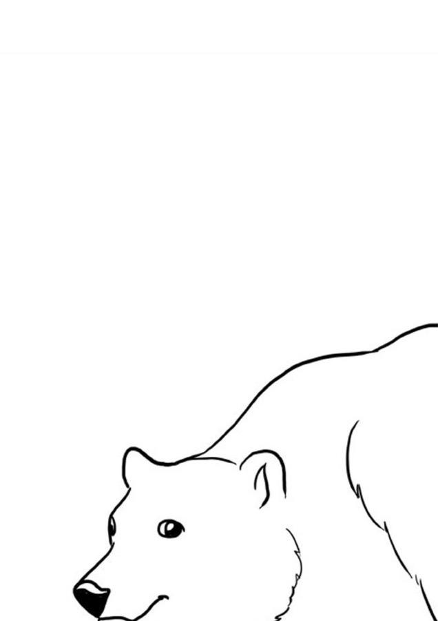 Kolorowanki XXL: Misie Dzień Niedźwiedzia Polarnego Dzień Pluszowego Misia Kolorowanki Kolorowanki (Dzień misia) Kolorowanki XXL Zwierzęta (Kolorowanki) 
