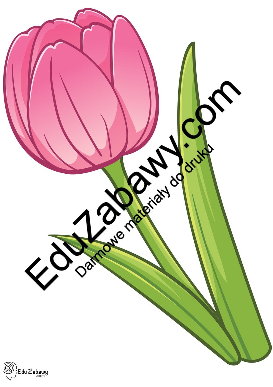 Dekoracje do druku: Tulipan (9 szablonów)