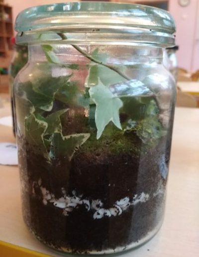 Praca plastyczna: Las w słoiku 1