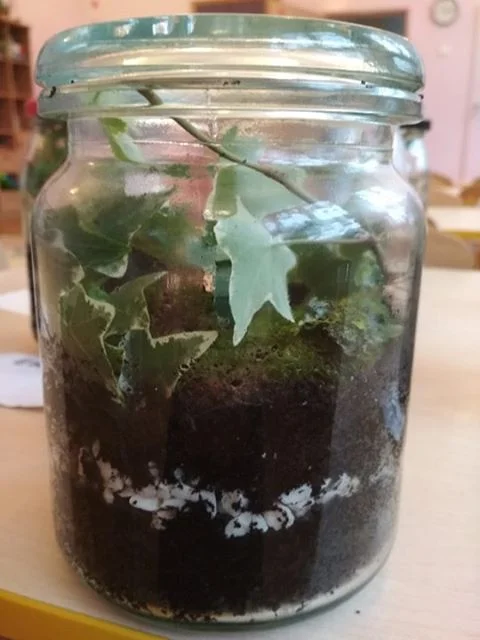 Praca plastyczna: Las w słoiku