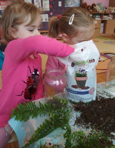 Praca plastyczna: Las w słoiku 2