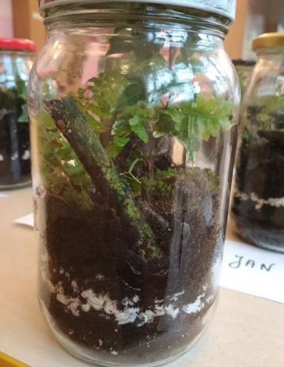 Praca plastyczna: Las w słoiku 3