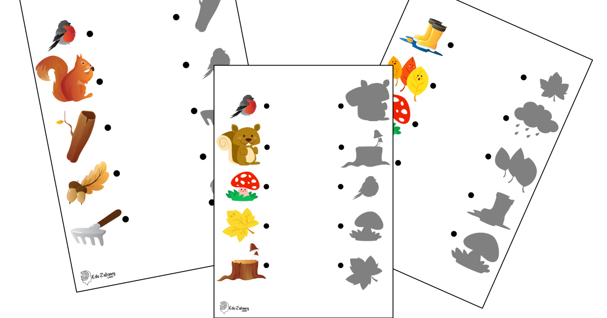 Karty pracy: Dopasuj cienie: Jesień