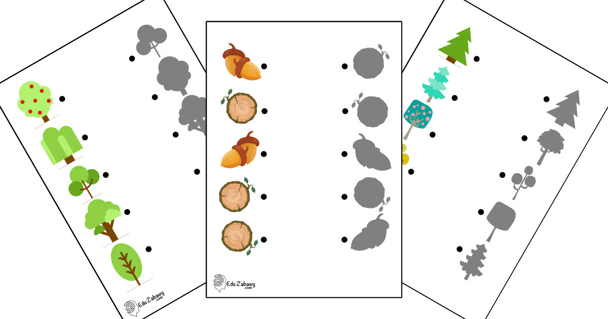 Karty pracy: Dopasuj cienie: Dzień Drzewa