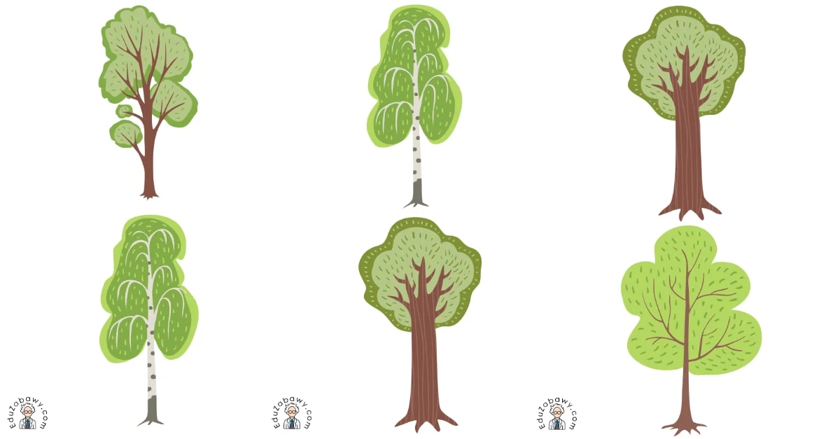 Karty pracy: Domino / Memory: Dzień Drzewa