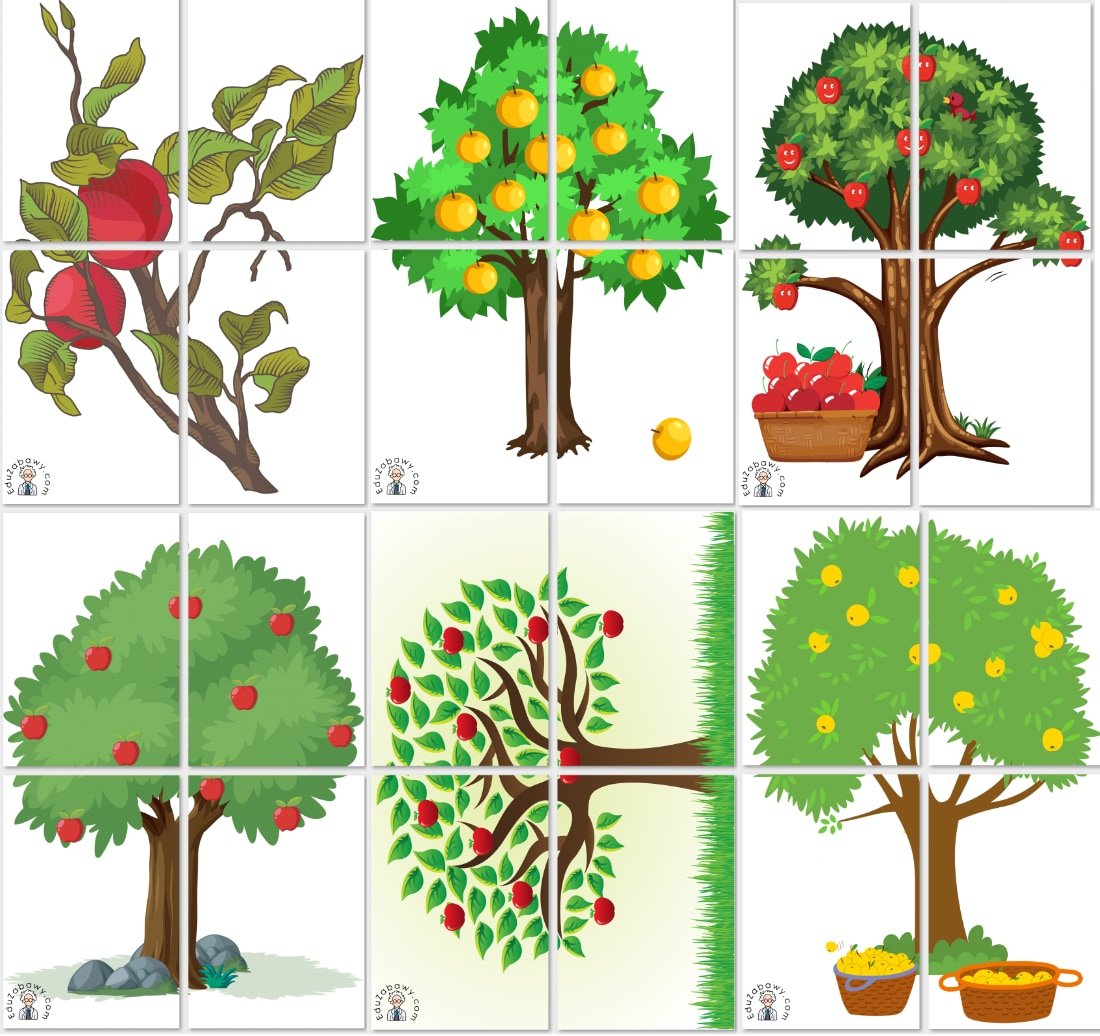 Dekoracje do druku: Drzewa owocowe XXL (6 szablonów)