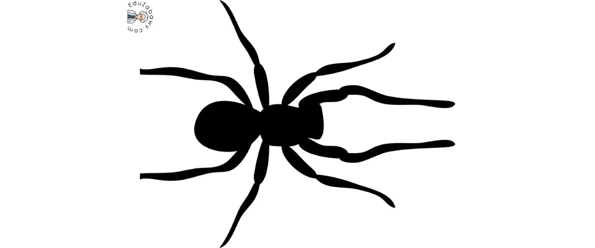 Dekoracje do druku: Pająki