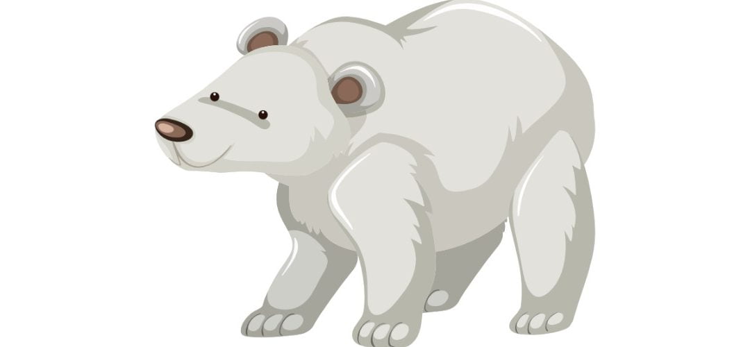 Dekoracje: Niedźwiedź Polarny (10 szablonów)