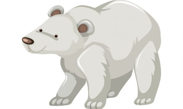 Dekoracje do druku: Niedźwiedź Polarny (10 szablonów)