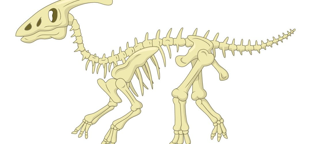 Dekoracje: Szkielet Dinozaura (10 szablonów)