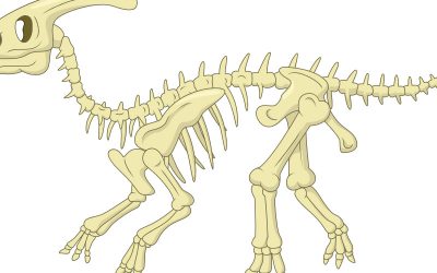 Dekoracje do druku: Szkielet Dinozaura (10 szablonów)