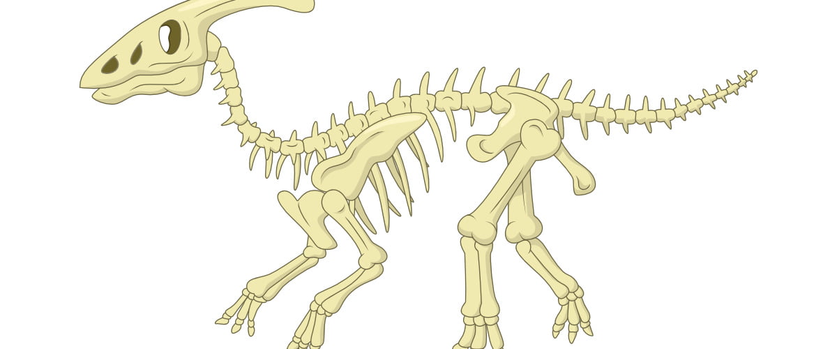 Dekoracje do druku: Szkielet Dinozaura (10 szablonów)