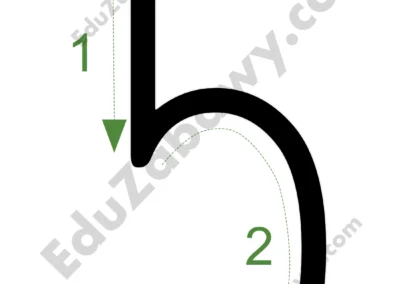 Wprowadzenie cyfry 5 - monografia 41