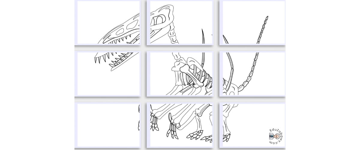 Kolorowanki XXL do druku: Szkielet Dinozaura (10 szablonów)