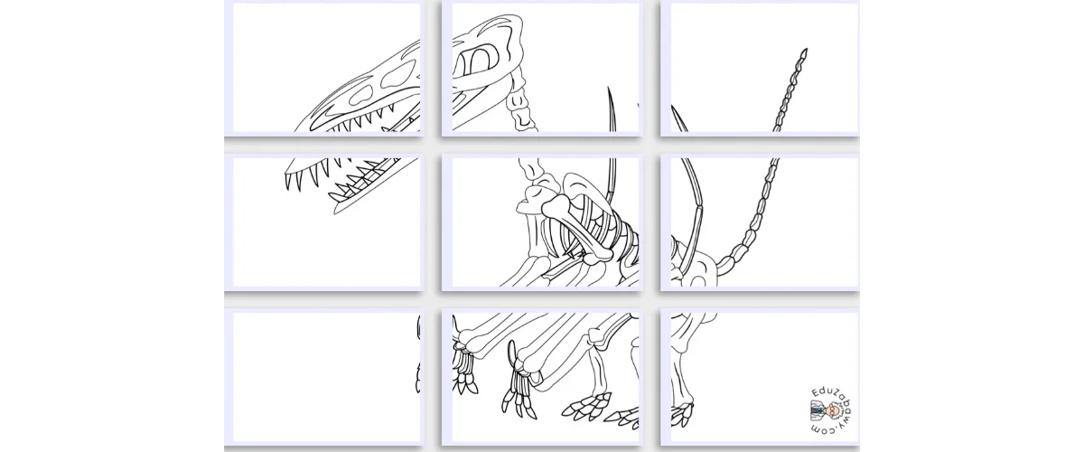 Kolorowanki XXL do druku: Szkielet Dinozaura (10 szablonów)