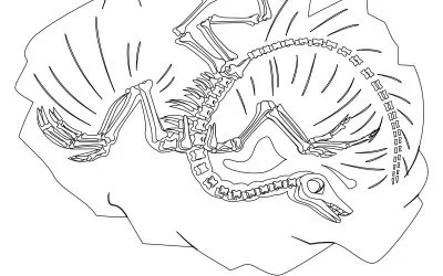 Kolorowanki do druku: Szkielet Dinozaura (10 szablonów)