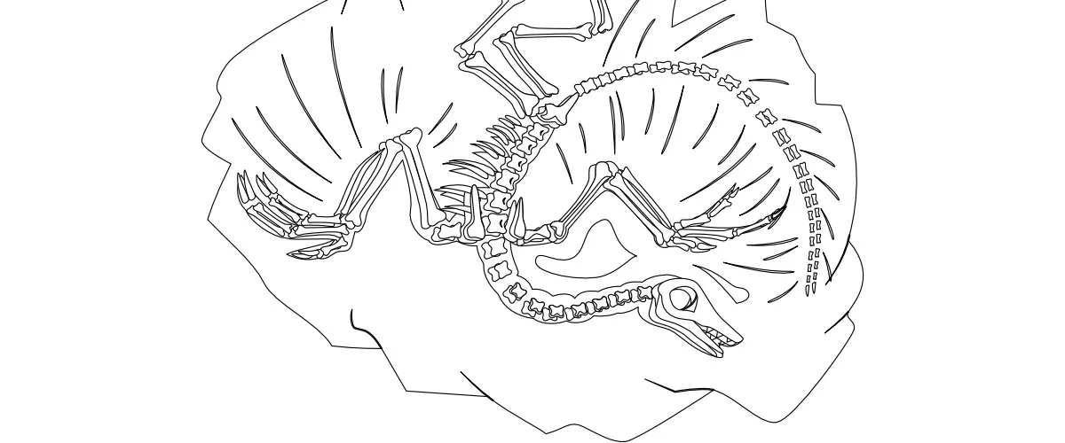 Kolorowanki do druku: Szkielet Dinozaura (10 szablonów)