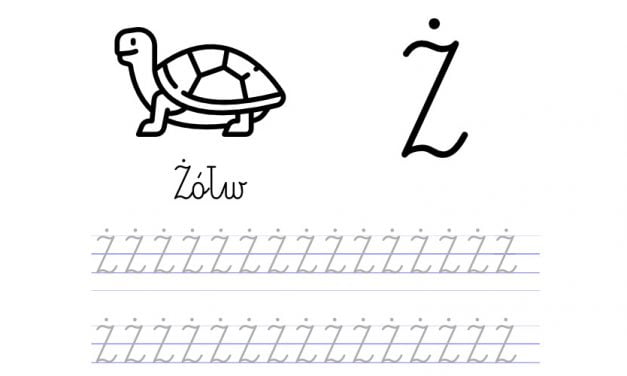 Pisanie po śladzie w liniaturze: Litera Ż (3 karty pracy)