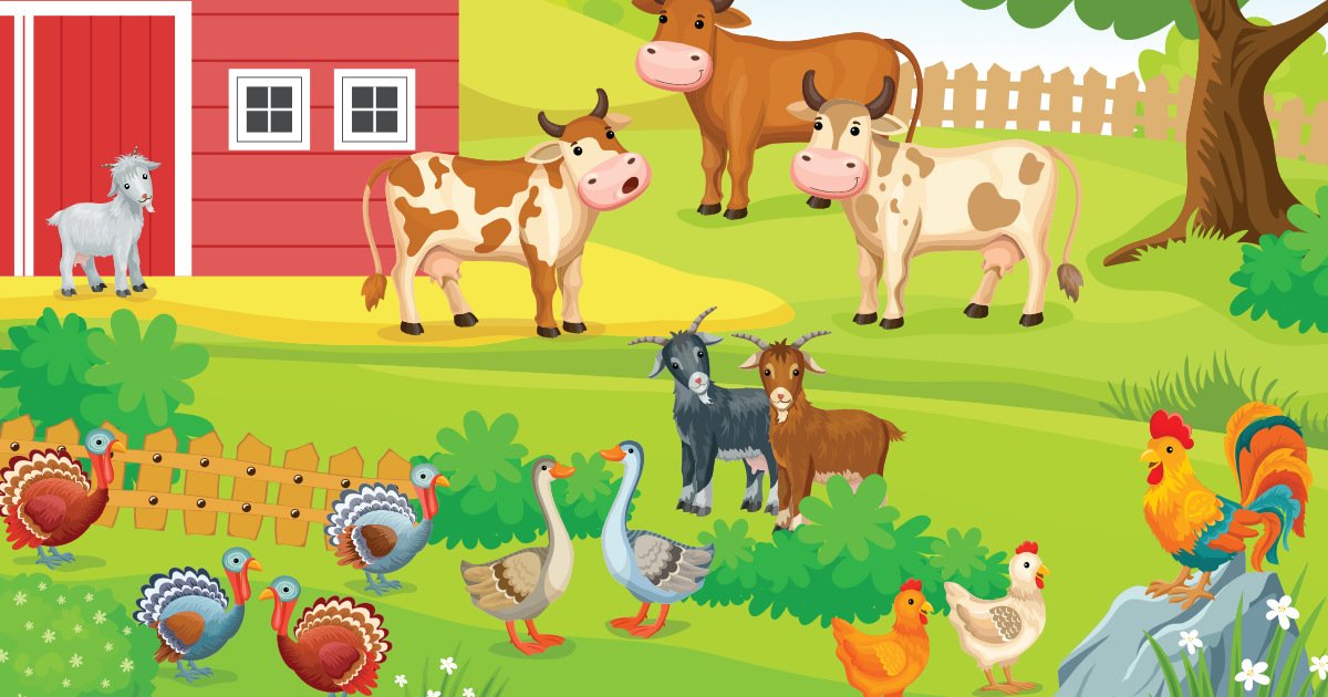 Plansze dydaktyczne: Zwierzęta wiejskie (19 plansz)