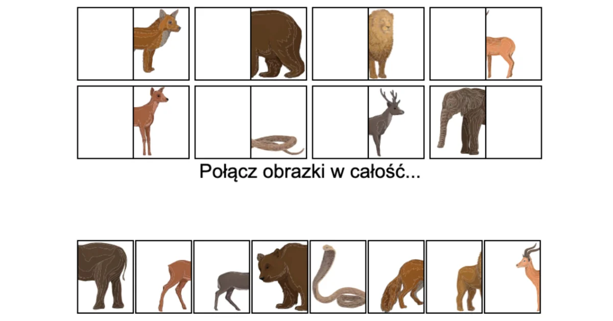 Gra online: Połącz obrazki: Dzikie zwierzęta