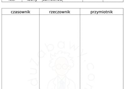 Generator kart pracy: Sortowanie / Kategoryzowanie 41