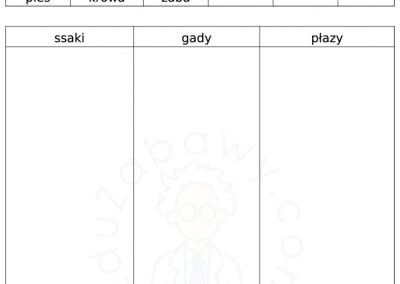 Generator kart pracy: Sortowanie / Kategoryzowanie 45