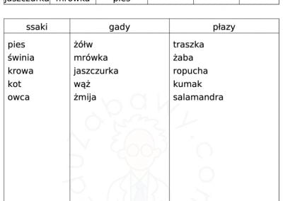 Generator kart pracy: Sortowanie / Kategoryzowanie 46