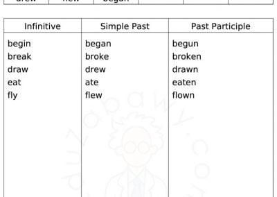 Generator kart pracy: Sortowanie / Kategoryzowanie 48