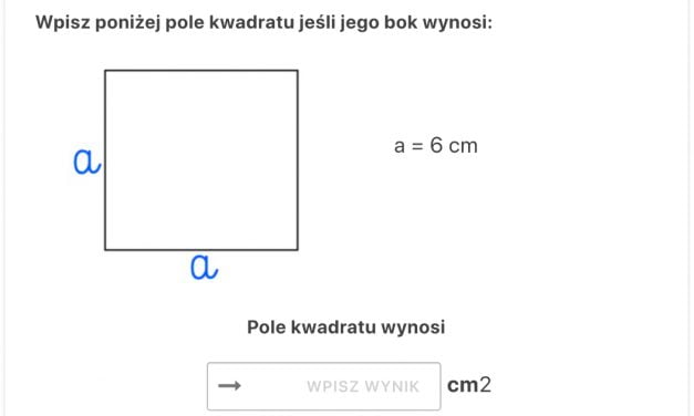 Quiz: Oblicz pole kwadratu