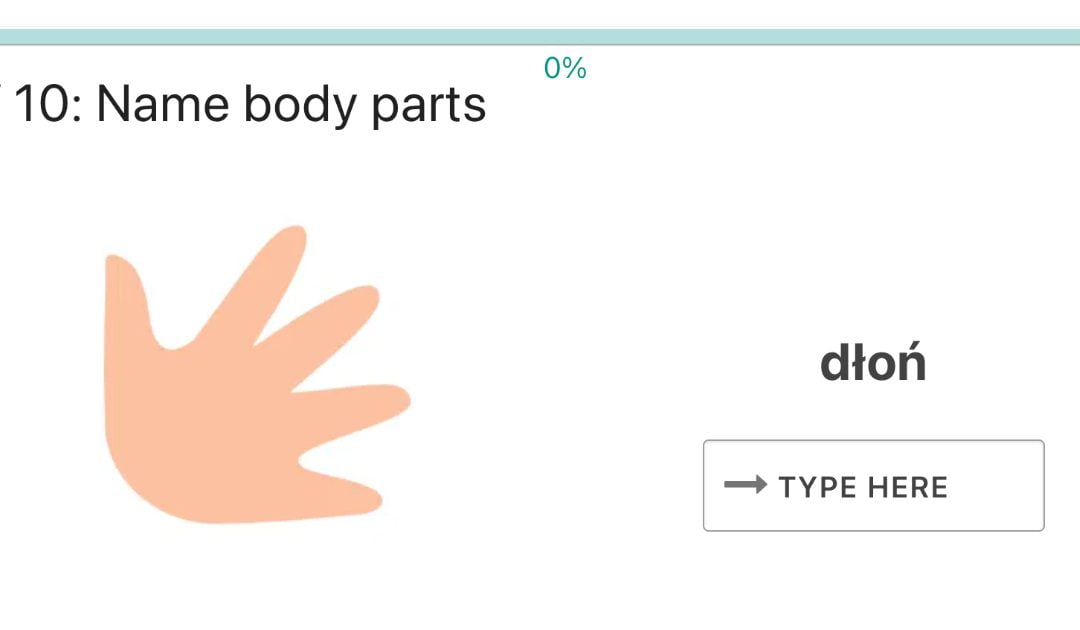 Podpisz części ciała / Name body parts