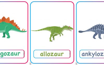Plansze dydaktyczne: Dinozaury