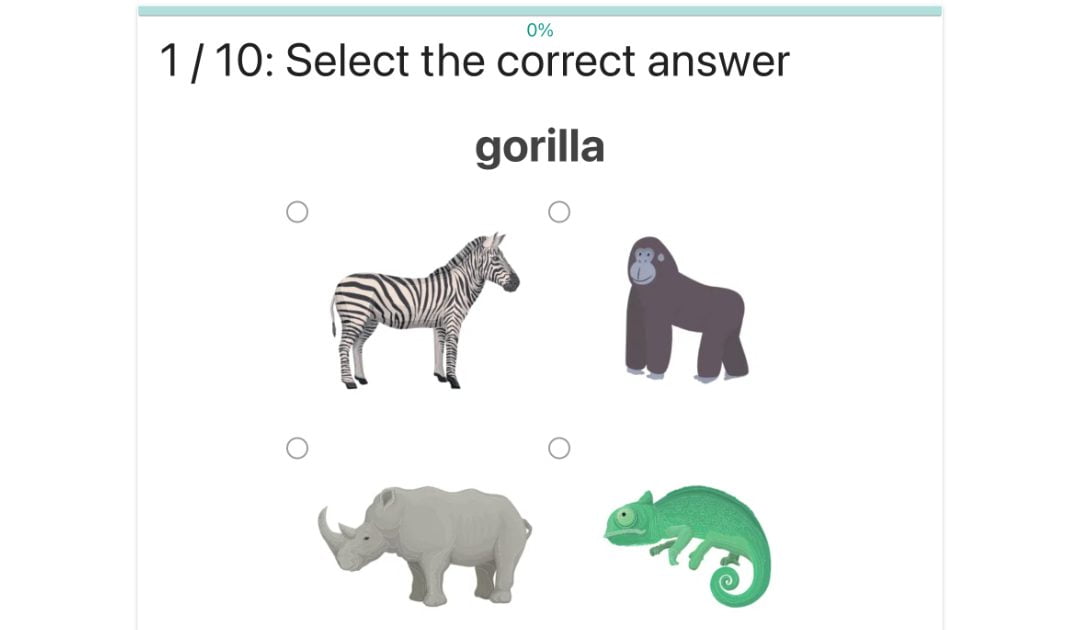 Zaznacz zwierzę / Select the animal