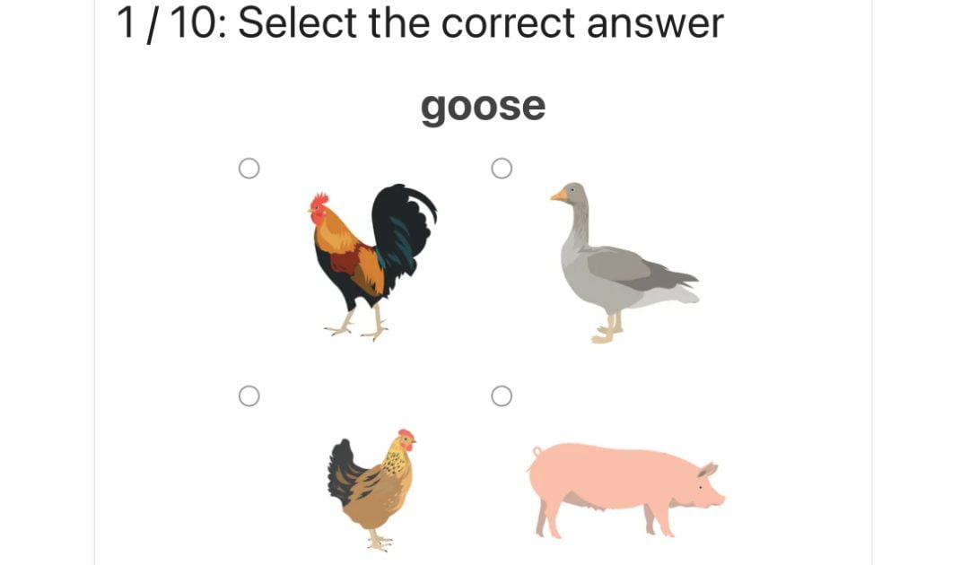 Zaznacz zwierzę / Select the farm animal