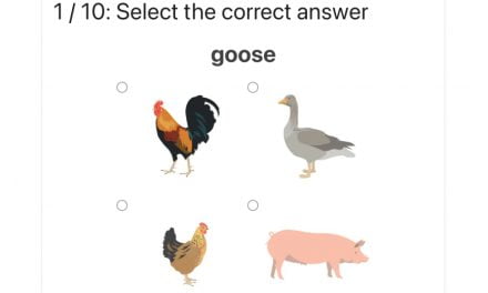 Ćwiczenie na angielskie słownictwo: Zaznacz zwierzę / Select the farm animal