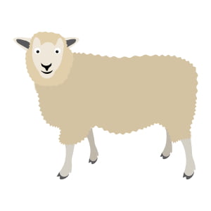 Quiz na angielskie słownictwo: Zaznacz zwierzę / Select the farm animal