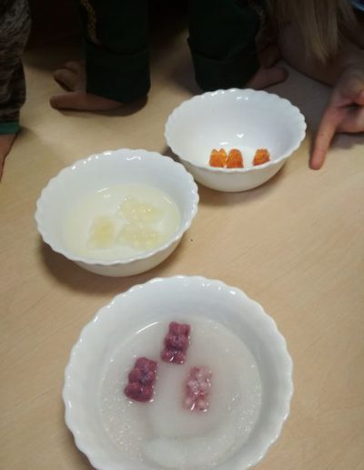 Praca plastyczna: Misie żelki - eksperyment 3