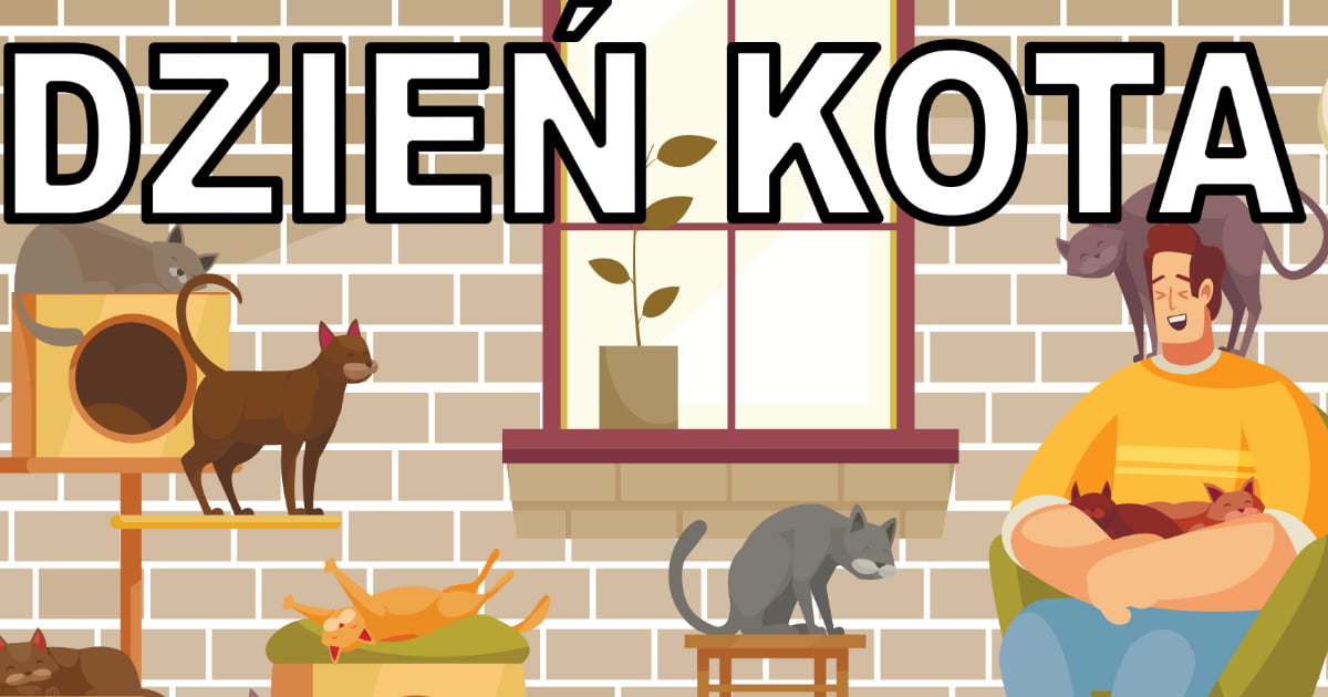 Plakat do druku: na Dzień Kota A4 i XXL 2