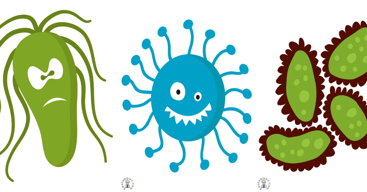 Dekoracje: Bakterie / wirusy