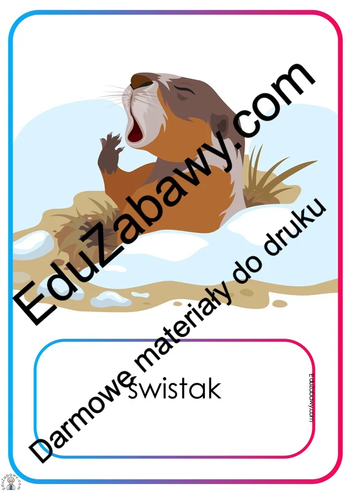 Plansze dydaktyczne: Zwierzęta, które zapadają w sen zimowy do wydruku