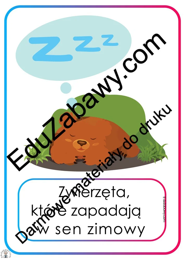 Plansze dydaktyczne: Zwierzęta, które zapadają w sen zimowy do wydruku
