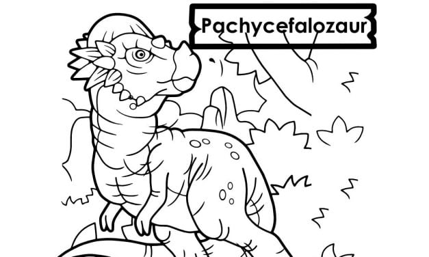 Kolorowanki online: Dinozaur: Mały Pachycefalozaur