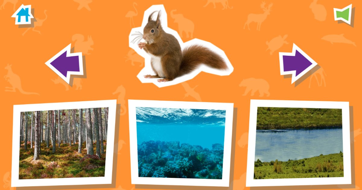 Gra online: Gdzie jest mój dom