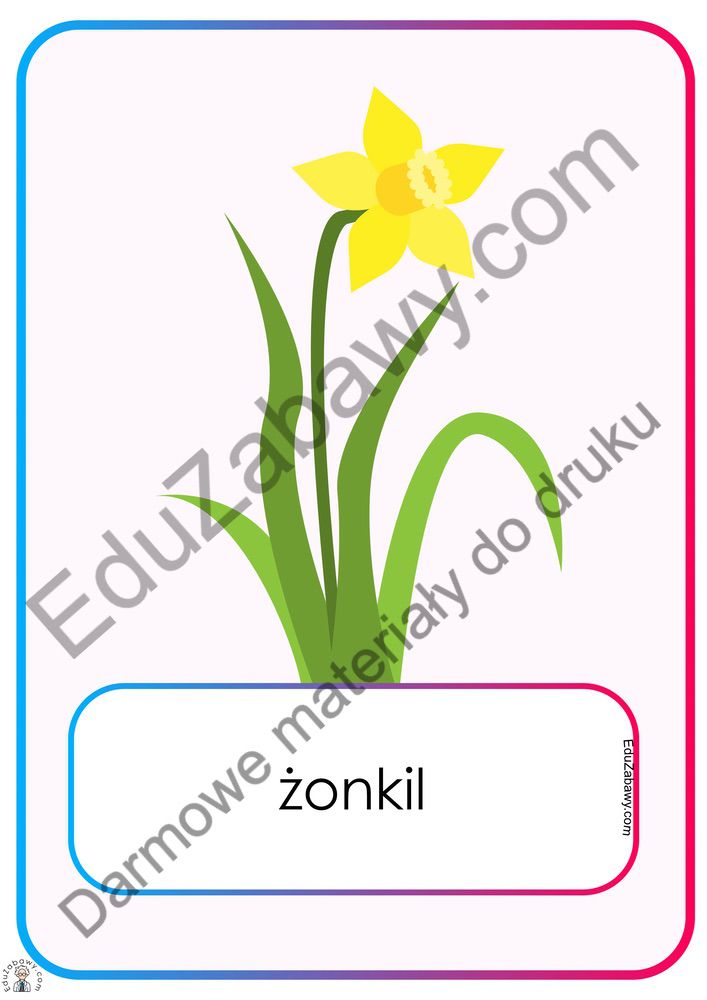 Plansze dydaktyczne: Zwiastuny Wiosny - Kwiaty