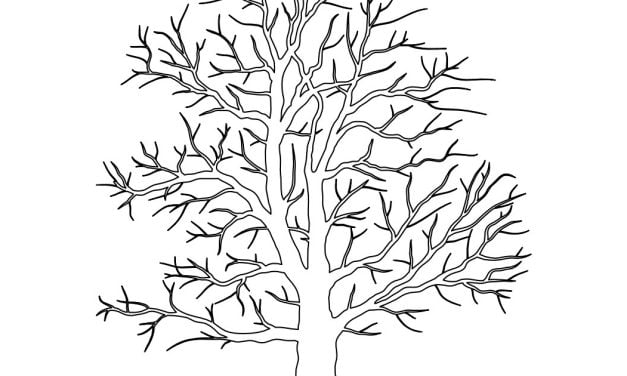 Kolorowanka online: Drzewo bez liści
