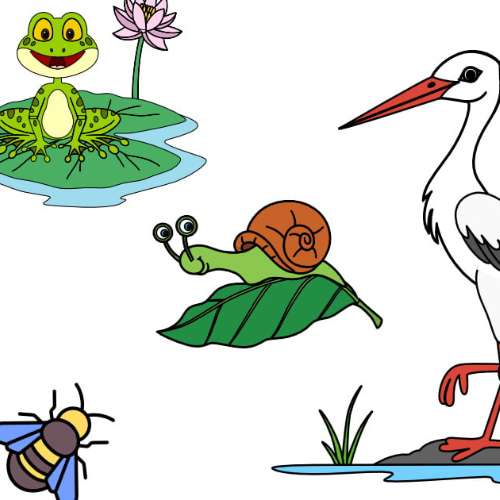 nauka rysowania mieszkańców łąki