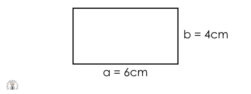 Jak obliczać pole powierzchni prostokąta i kwadratu?