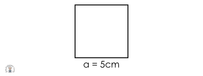Jak obliczać pole powierzchni prostokąta i kwadratu?